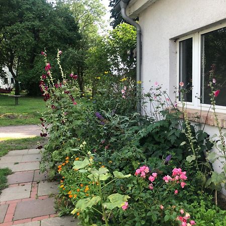 Cabana In Zweedorf An Der Ostsee Leilighet Rom bilde